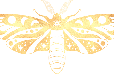 personal transformation logo