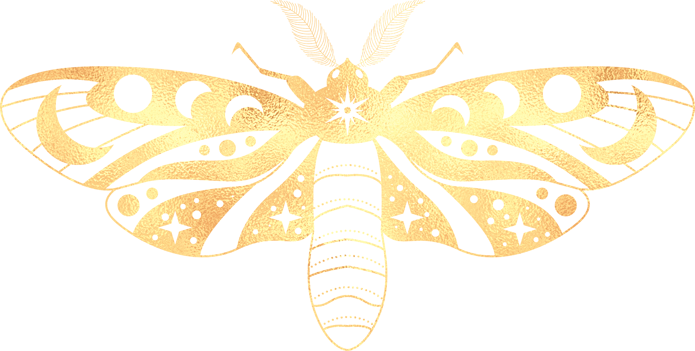 Personal Transformation